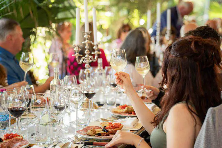 Tuscan Vineyard Lunch with Wine Tasting near San Gimignano