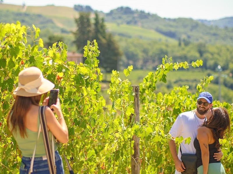 Chianti Vineyards Tour and Wine Tastings from Florence