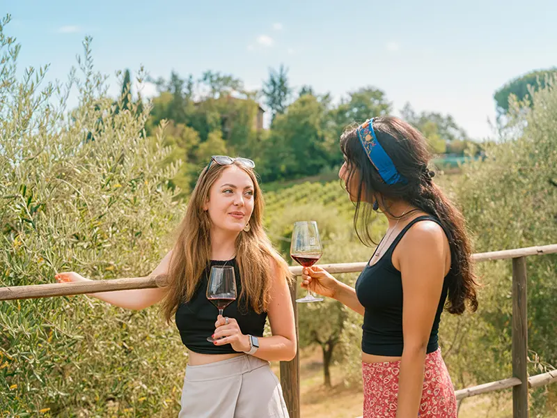 Private Chianti Wine Tour from Florence with Siena and San Gimignano Visit