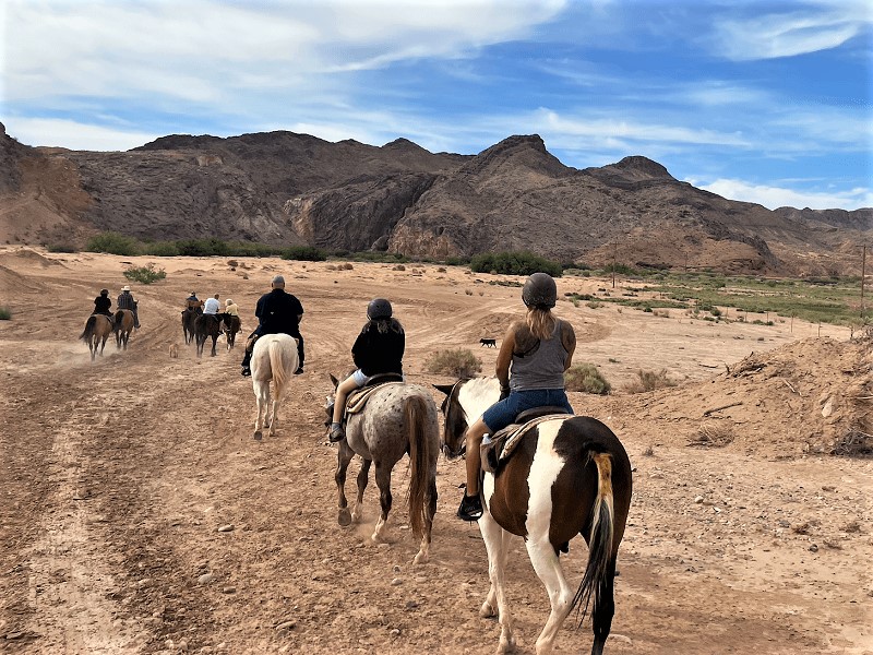 Las Vegas Morning Desert Horseback Ride with Breakfast