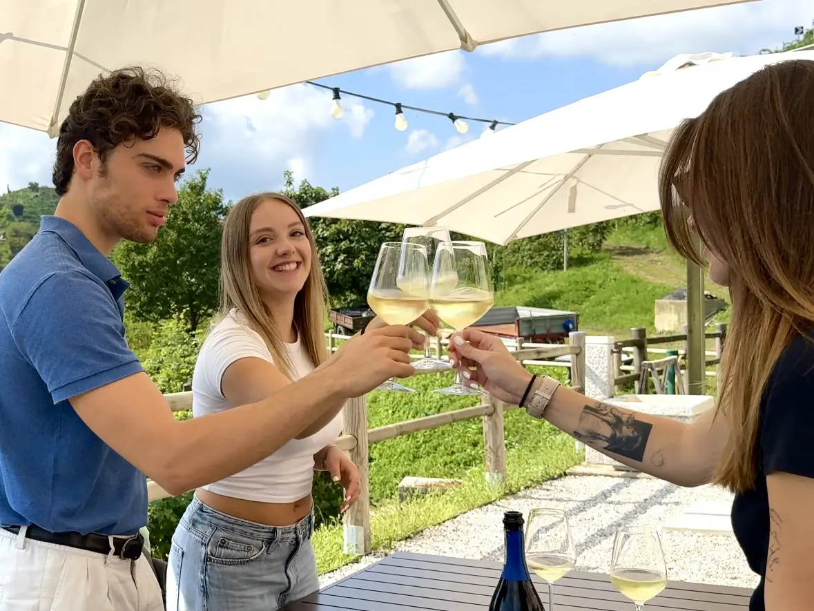 From Venice: Semi-Private Prosecco and Asolo Day Trip with Lunch