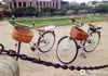 Circus Maximus