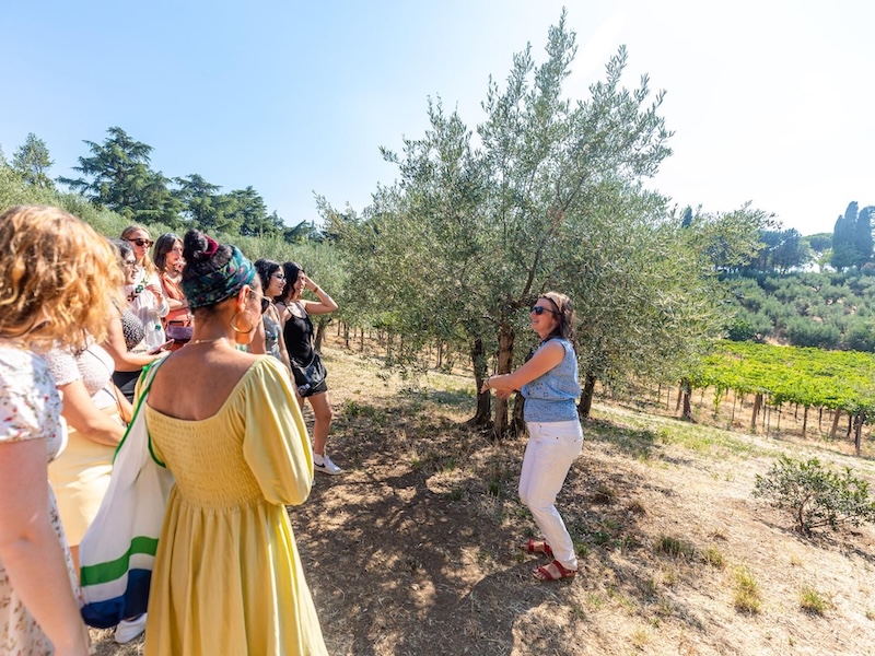 Wine Tasting and Lunch in Rome Countryside 