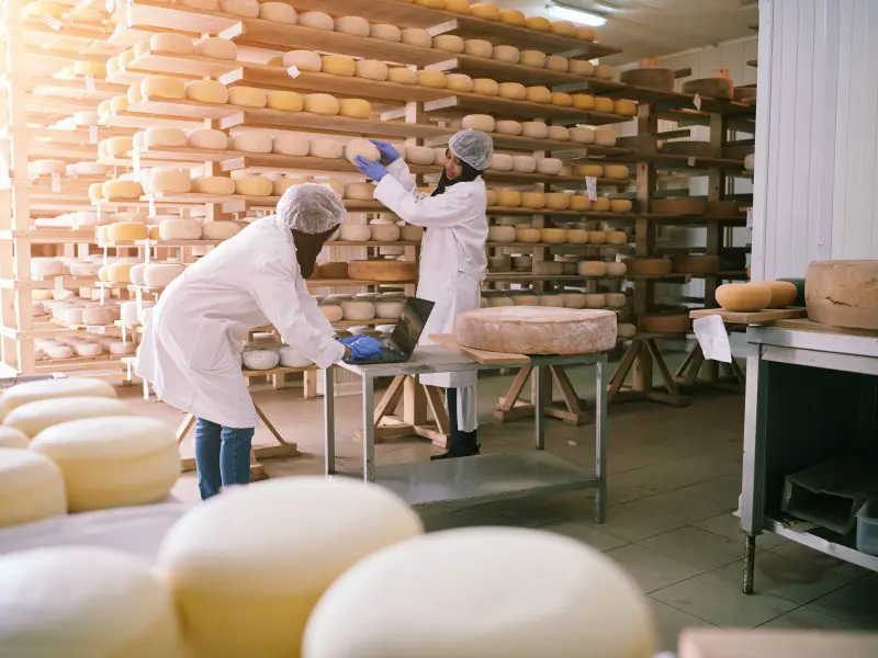 Authentic Parmesan and Prosciutto Food Tour from Bologna