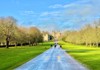 A long, tree-lined path leads to Windsor Castle, with neatly trimmed lawns and a bright blue sky in the background.
