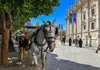 Horse-drawn carriage waiting near the Seville Cathedral, with visitors walking along the shaded street.