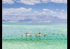 Float in The Dead Sea
