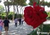 Aventine Hill
