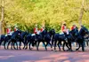 Tour London in One Day SGT LDN 1 Day Horse of Guard parade through the park