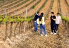 Expert viticulturist guide