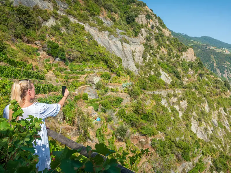 Riomaggiore Wine Tour with Vineyard Hike
