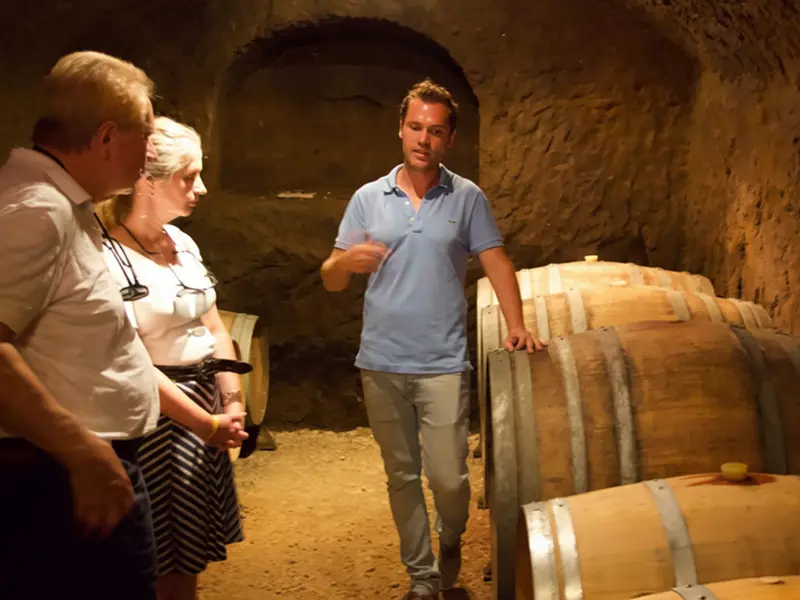 Orvieto, Civita di Bagnoregio & Winery Private Day Trip from Rome