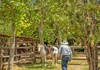 horse ranch
