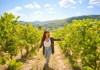 vinyards