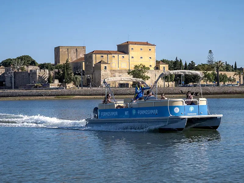 Express Ria Formosa Catamaran Boat Tour from Faro