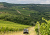 Jeep driving through vineyard