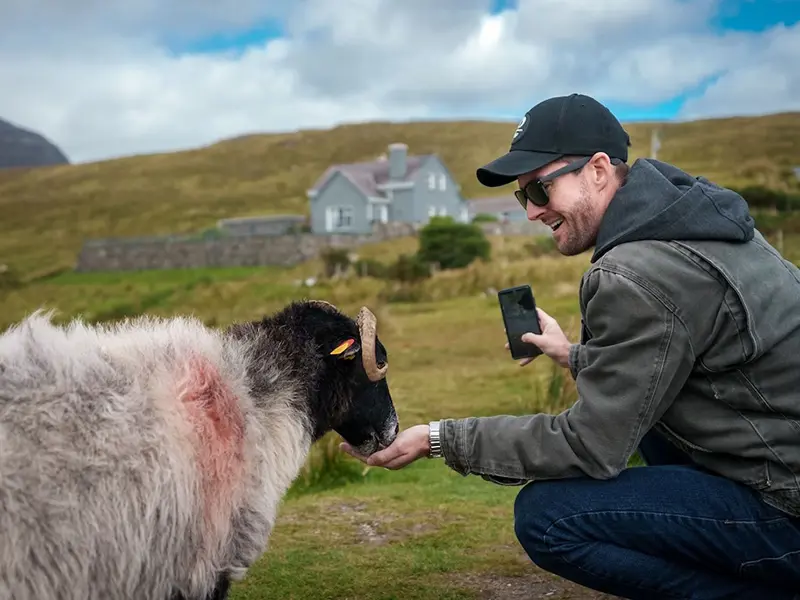 Connemara Day Trip from Galway with Kylemore Abbey and Sheepdogs