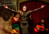Flamenco show at Palacio Dalmases​