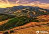 Beautiful Landscape