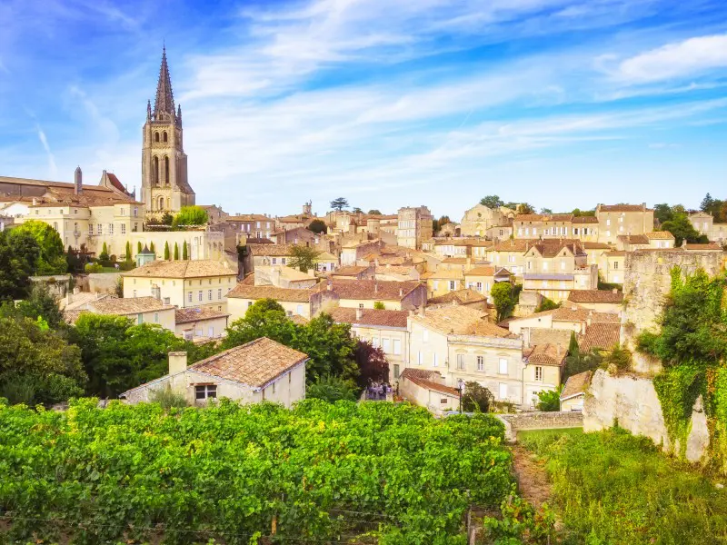 Saint Emilion Vineyard Tour from Bordeaux with Wine Tasting