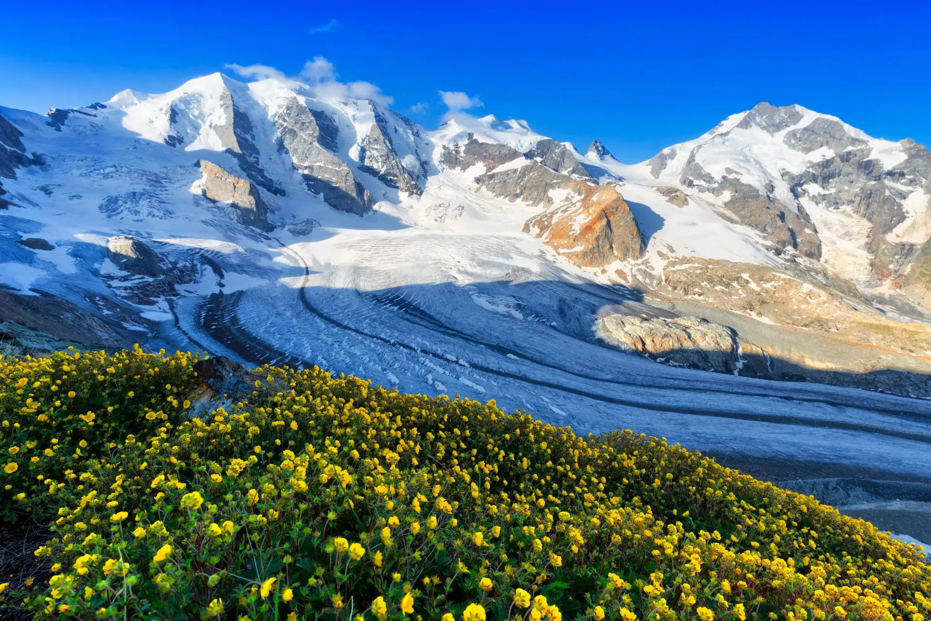 From Milan: Swiss Alps Day with Bernina Red Train & Diavolezza Alpine Lunch