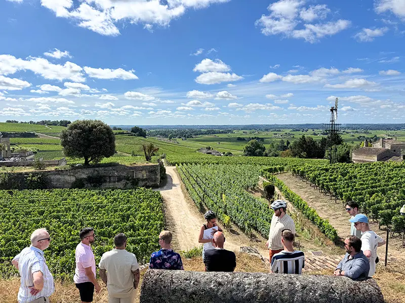 Saint-Emilion E-Bike Vineyard Tour with Wine Tasting