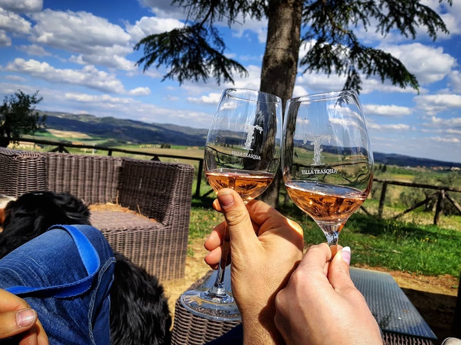 BEST Wine Tours Day Trips and Experience in Tuscany