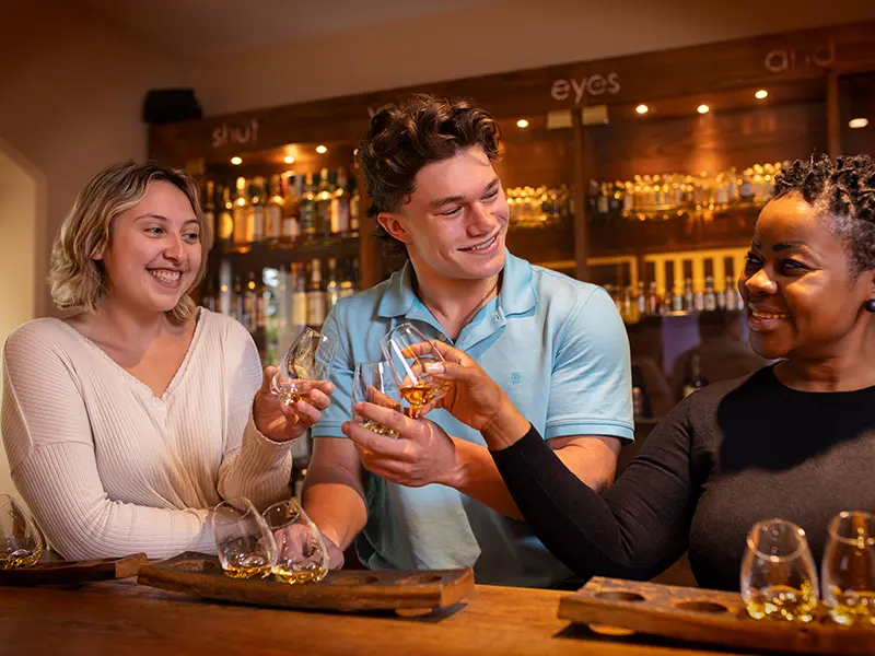 Irish Whiskey Museum Tasting and History Tour in Dublin