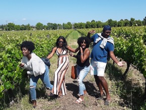 The Great Boutique Wine Tour in Sonoma