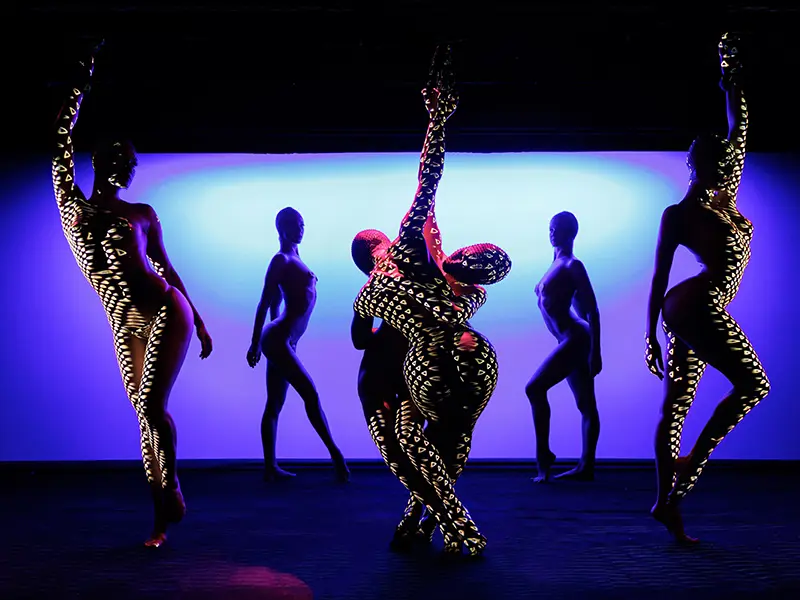 Paris Crazy Horse Cabaret Show Tickets with Champagne