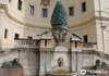 Pinecone Courtyard