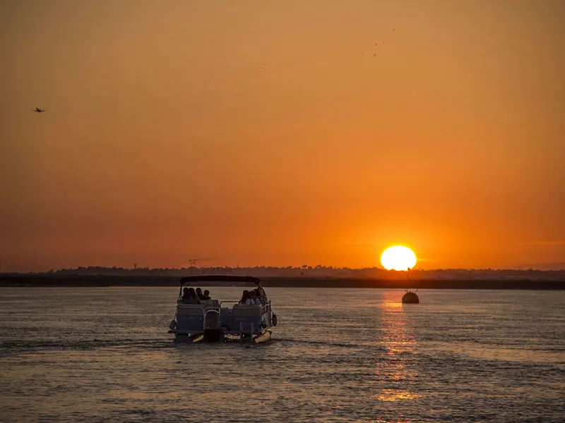 Small Group Faro Sunset Catamaran Tour