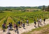 Chianti vineyards​