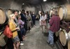 Group in Sonoma Wine Cellar