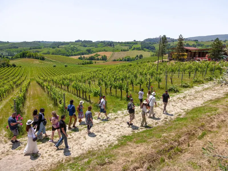 Pisa, Siena, and San Gimignano Day Trip from Florence with Tuscan Lunch