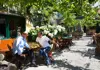 Two men sitting at a shaded outdoor tavern table covered in vines and white hydrangeas.