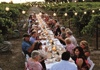 People having dinner in a vineyard