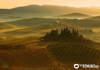 Rolling Hills of Chianti