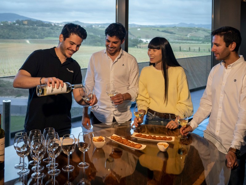 Pena Palace Tour and Winery Experience from Lisbon