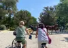 Participants on a guided bike tour riding through María Luisa Park while passing a horse-drawn carriage.