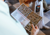 Map and description of the Sistine Chapel you'll receive on a The Tour Guy tour of the Vatican Museums