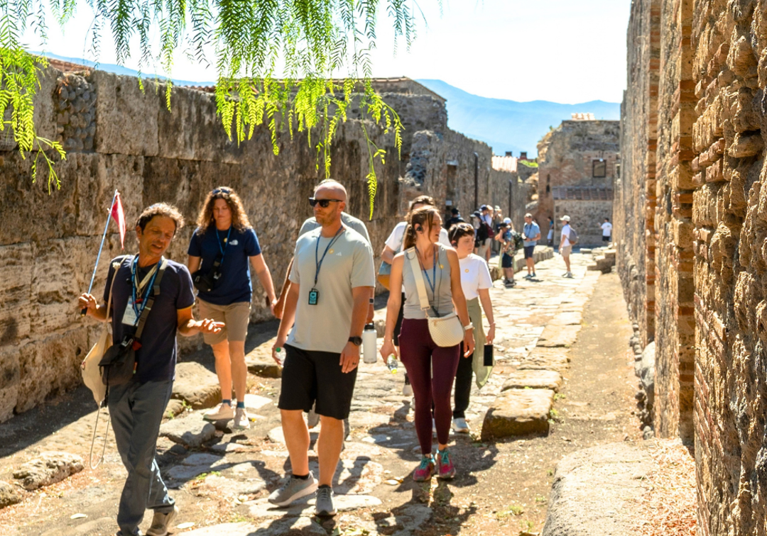 New Tour Pompeii & Mt. Vesuvius Volcanic Crater Day Trip with Lunch from Rome