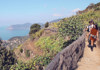 Cinque Terre Cliffside winery