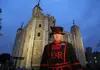 An image of a Tower of London Beefeater speaking with a group of tourists on tour with The Tour Guy.
