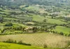 Umbrian Countryside