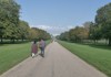 A long, tree-lined path leads to Windsor Castle, with visitors strolling along the well-manicured grounds.