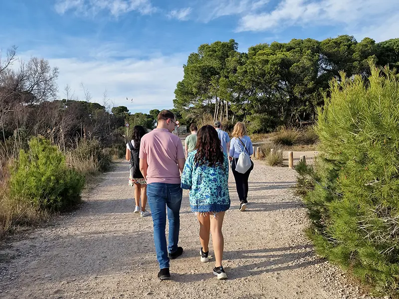 Albufera Natural Park Half-Day Excursion from Valencia
