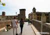 Tiber Island
