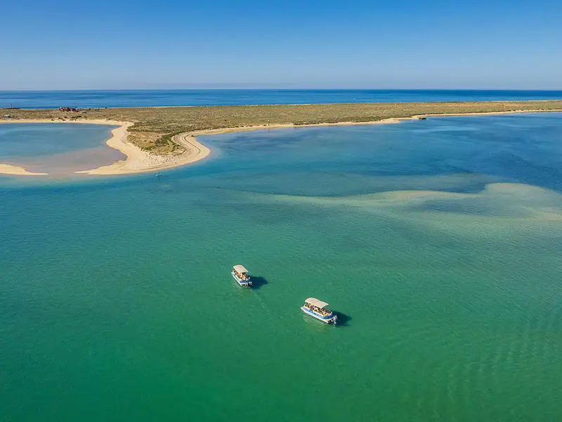 Ria Formosa Islands Small-Group Boat Tour