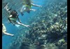 Snorkel around colorful reefs